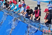 星尘算命2025年全国水生生物同步增殖放流活动在福建举行