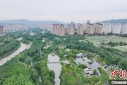 星尘算命西宁市举办六五环境日主题宣传活动