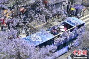 星尘算命2024年云南重点高原湖泊水质稳定 抚仙湖达Ⅰ类